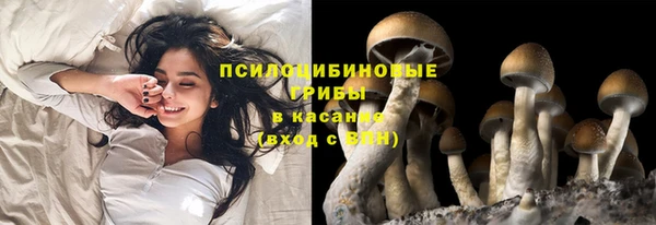 спайс Беломорск
