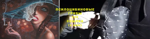 спайс Беломорск