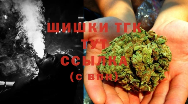 ГАЛЛЮЦИНОГЕННЫЕ ГРИБЫ Белоозёрский